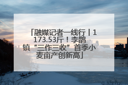 融媒记者一线行丨1173.53斤！李鹊镇“三作三收”首季小麦亩产创新高