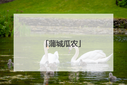 蒲城瓜农