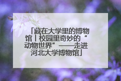 藏在大学里的博物馆丨校园里奇妙的“动物世界”——走进河北大学博物馆