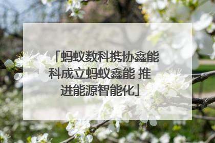 蚂蚁数科携协鑫能科成立蚂蚁鑫能 推进能源智能化