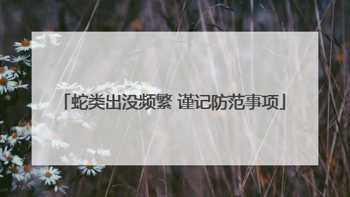 蛇类出没频繁 谨记防范事项