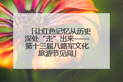 让红色记忆从历史深处“走”出来——第十三届八路军文化旅游节见闻