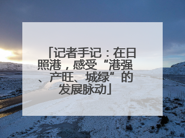记者手记：在日照港，感受“港强、产旺、城绿”的发展脉动