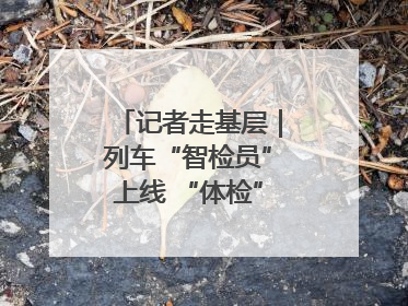 记者走基层｜列车“智检员”上线 “体检”缩短半小时
