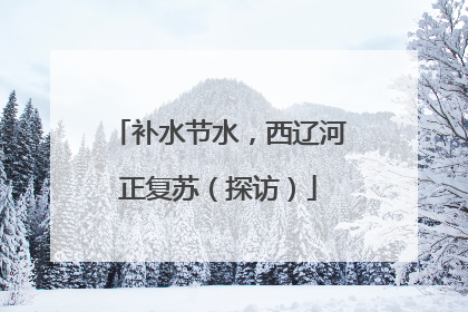 补水节水，西辽河正复苏（探访）