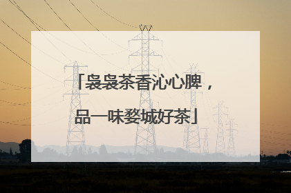 袅袅茶香沁心脾，品一味婺城好茶