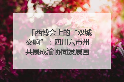 西博会上的“双城交响”：四川六市州共展成渝协同发展画卷｜西博视界