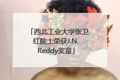 西北工业大学张卫红院士荣获J.N.Reddy奖章