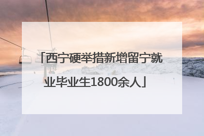 西宁硬举措新增留宁就业毕业生1800余人