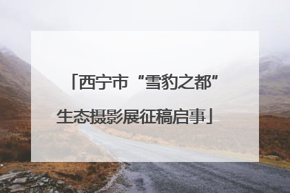 西宁市“雪豹之都”生态摄影展征稿启事