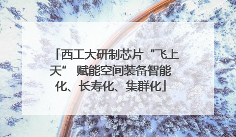 西工大研制芯片“飞上天” 赋能空间装备智能化、长寿化、集群化