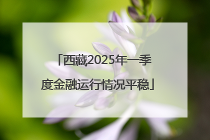 西藏2025年一季度金融运行情况平稳