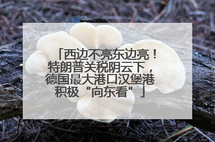 西边不亮东边亮！特朗普关税阴云下，德国最大港口汉堡港积极“向东看”