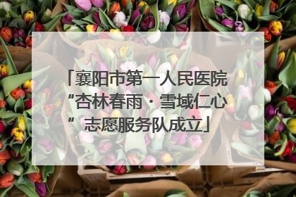 襄阳市第一人民医院“杏林春雨・雪域仁心”志愿服务队成立