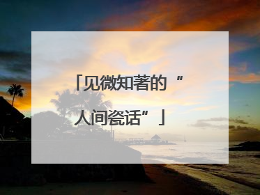 见微知著的“人间瓷话”