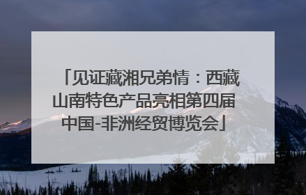 见证藏湘兄弟情：西藏山南特色产品亮相第四届中国-非洲经贸博览会