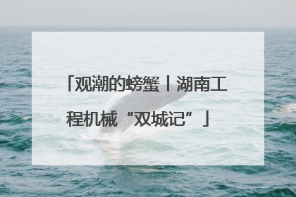 观潮的螃蟹丨湖南工程机械“双城记”