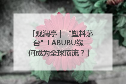 观澜亭｜“塑料茅台”LABUBU缘何成为全球顶流？