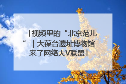 视频里的“北京范儿”｜大葆台遗址博物馆来了网络大V联盟