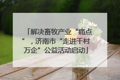 解决畜牧产业“痛点”，济南市“走进千村万企”公益活动启动