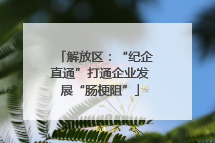 解放区：“纪企直通”打通企业发展“肠梗阻”