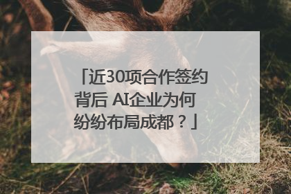 近30项合作签约背后 AI企业为何纷纷布局成都？