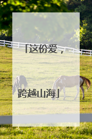 这份爱，跨越山海
