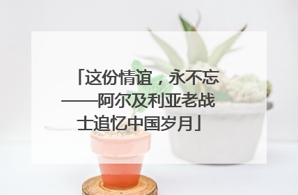 这份情谊，永不忘——阿尔及利亚老战士追忆中国岁月