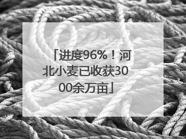 进度96%！河北小麦已收获3000余万亩