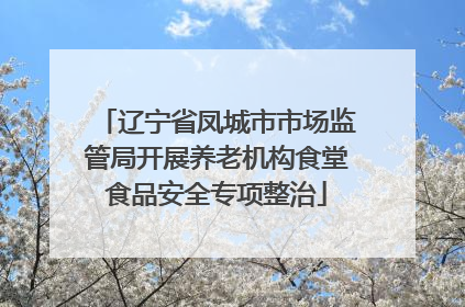 辽宁省凤城市市场监管局开展养老机构食堂食品安全专项整治
