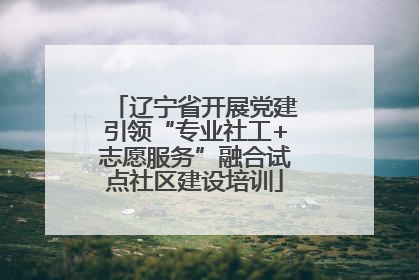 辽宁省开展党建引领“专业社工+志愿服务”融合试点社区建设培训