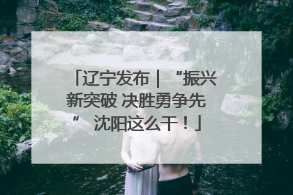 辽宁发布｜“振兴新突破 决胜勇争先” 沈阳这么干！