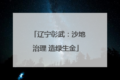 辽宁彰武：沙地治理 造绿生金