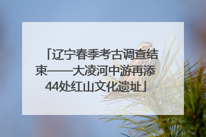 辽宁春季考古调查结束——大凌河中游再添44处红山文化遗址