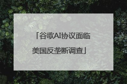 谷歌AI协议面临美国反垄断调查