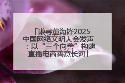 谦寻董海锋2025中国网络文明大会发声：以“三个向善”构建直播电商善意长河