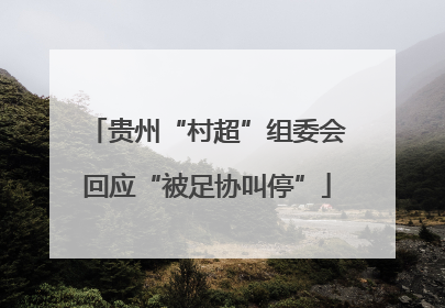 贵州“村超”组委会回应“被足协叫停”