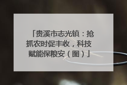 贵溪市志光镇：抢抓农时促丰收，科技赋能保粮安（图）
