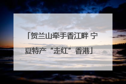 贺兰山牵手香江畔 宁夏特产“走红”香港