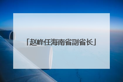 赵峰任海南省副省长