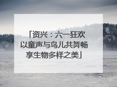 资兴：六一狂欢 以童声与鸟儿共舞畅享生物多样之美