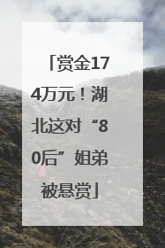 赏金174万元！湖北这对“80后”姐弟被悬赏