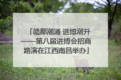 赣鄱潮涌 进博潮升——第八届进博会招商路演在江西南昌举办