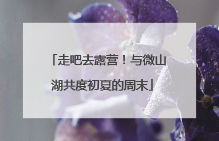 走吧去露营！与微山湖共度初夏的周末