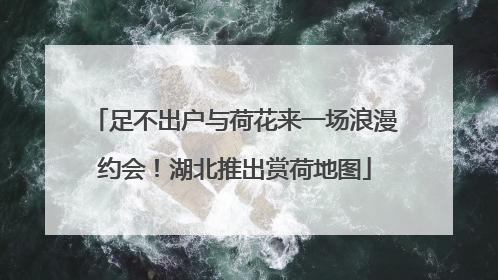 足不出户与荷花来一场浪漫约会！湖北推出赏荷地图
