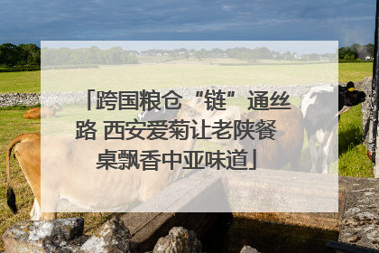 跨国粮仓“链”通丝路 西安爱菊让老陕餐桌飘香中亚味道