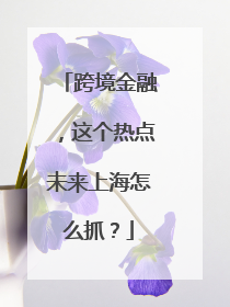 跨境金融，这个热点未来上海怎么抓？