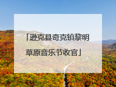 逊克县奇克镇黎明草原音乐节收官