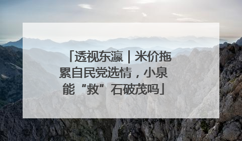 透视东瀛｜米价拖累自民党选情，小泉能“救”石破茂吗