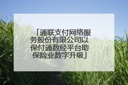 通联支付网络服务股份有限公司以保付通数经平台助保险业数字升级